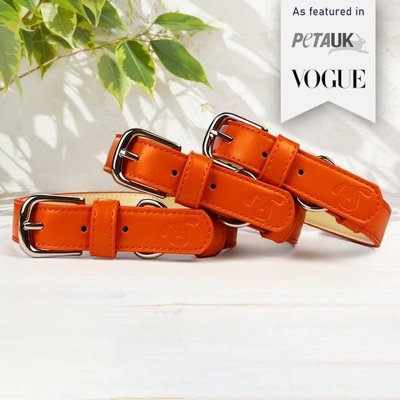 Orange Coral Personalised Dog Collar Adjustable, Vegan Leather Padded Collar, Soft Puppy Collar, Eco friendly, New Dog Owner Gift Essential