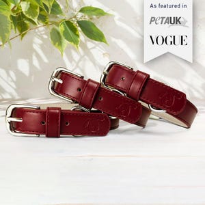 May include: Three red leather dog collars with silver buckles. The collars are embossed with a small dog paw print. The collars are stacked on top of each other. As featured in PetAUK Vogue.