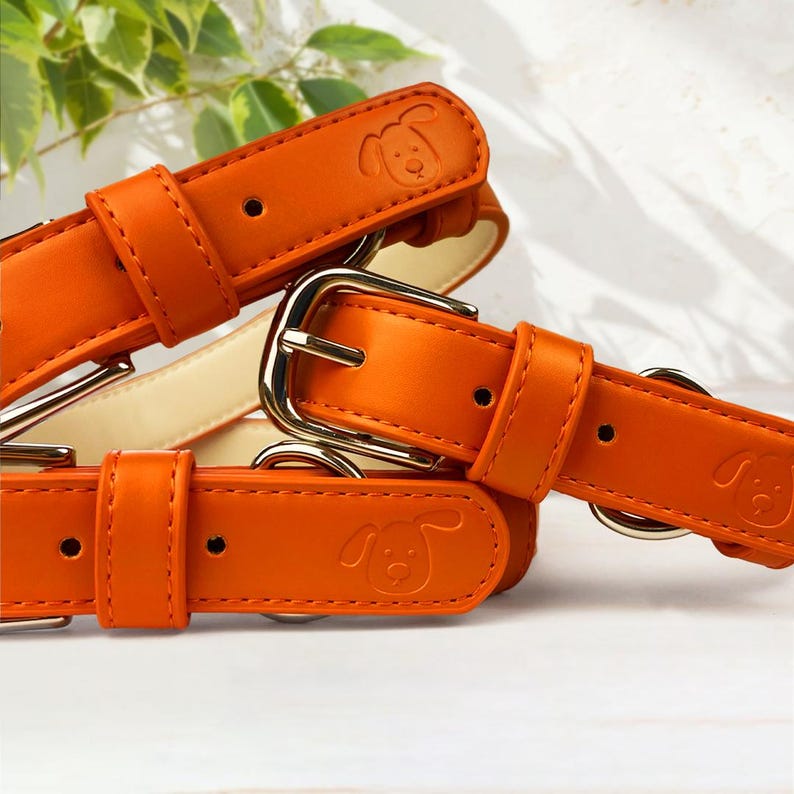 Coral dog collar, orange dog collar, Pastel dog collar, Pumpkin dog collar, Halloween dog collar, Racing green dog collar. Vegan Leather Collar. Plain small embossing detail. Stainless steel silver buckle. Adjustable strap collar.