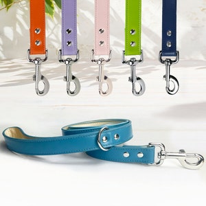 May include: Five leather dog leads in different colours, including orange, purple, pink, green, and blue, with silver clasps. A teal blue leather lead with a silver clasp is lying on a white surface.