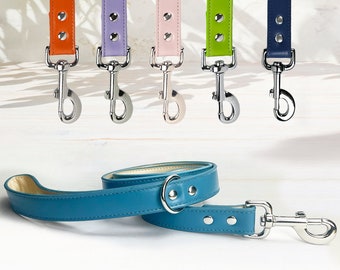 Personalised Eco-friendly Vegan Leather Dog Leads, Dog Lead Leash Colourful, Strong leather Lead, Matching Lead Collar Set, Dog Gift Guide