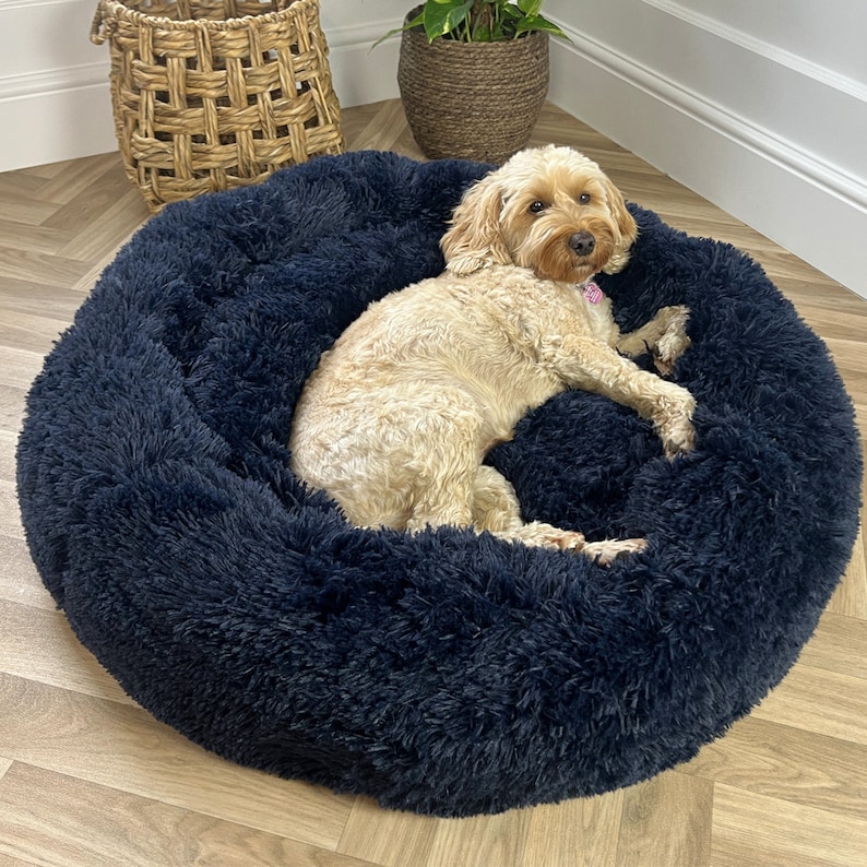 medium dog bed, small dog bed, doughnut bed for dogs, group of dog donut beds