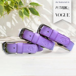 Collar ajustable para perro personalizado en color lila y morado, acolchado de cuero vegano, suave y ecológico, regalo esencial para nuevos dueños de perros.