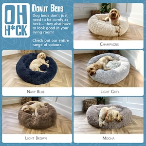 Op de afbeelding: Een verzameling donutvormige hondenbedden in verschillende kleuren, waaronder champagne, marineblauw, lichtgrijs, lichtbruin en mokka. Elk bed is gemaakt van een pluche, pluche materiaal en een hond rust comfortabel erin.