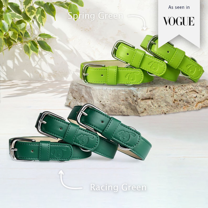 Racing green dog collar. Dark green colour. Deep green. Vegan Leather Collar. Plain detail. Stainless steel silver buckle. Spring green collar, lime green dog collar, Green dog collar, Light green collar, Vibrant Bright green dog collar,