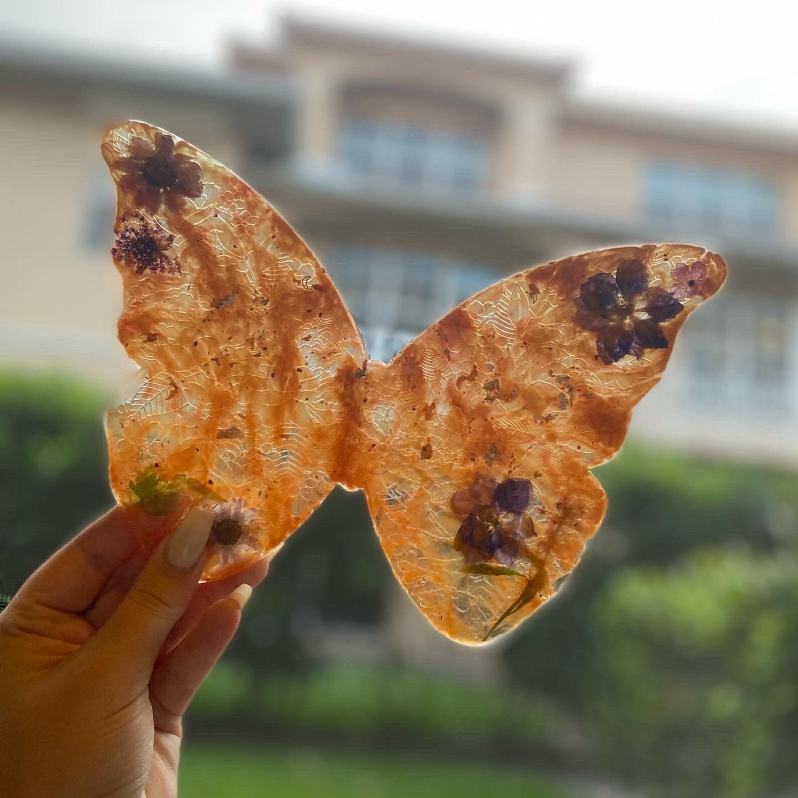 Resin Butterfly decoration Etsy