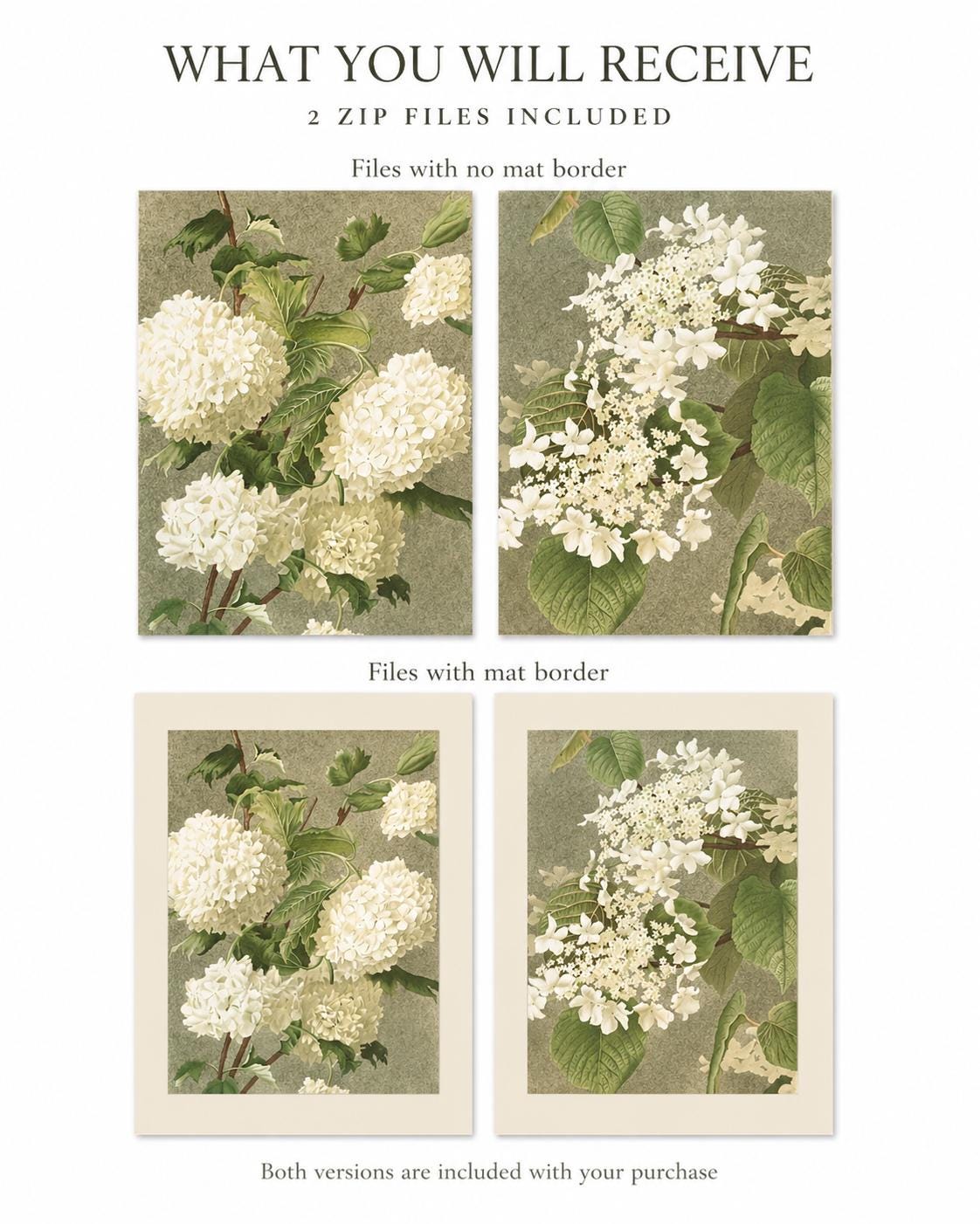 Vintage White Hydrangea Wall Art Set of 2 | Botanical Floral Printable ...