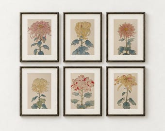 Japanese Chrysanthemum Prints Set of 6, Vintage Botanical Gallery Wall, Pink and Yellow Floral Art, Printable Digital Download