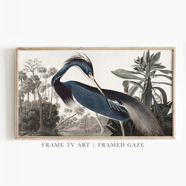 Frame TV Art | Blue Heron Vintage Painting  | Frame TV Art | Digital Download | Art for Samsung Frame TV