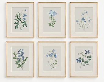 Blue Botanical Prints Set of 6, Vintage Floral Gallery Wall, Antique Cottage Flower Art, Printable Digital Download