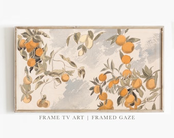 Frame TV Art Oranges, Citrus Painting, Vintage Watercolor Art, Tv Art, Digital Download