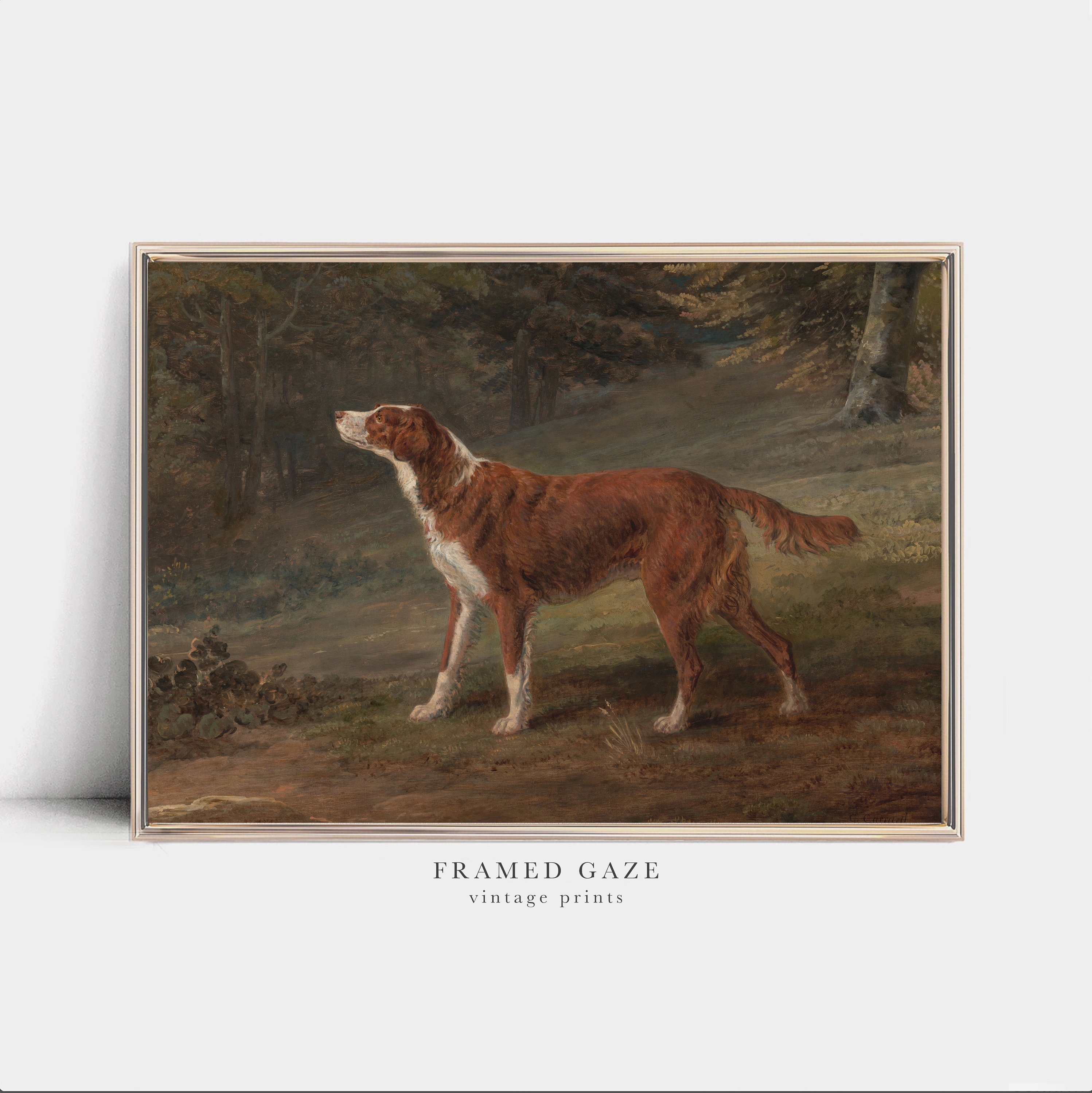 アンティークの犬の油彩画 ＊油絵 アンティーク犬の肖像画スケッチ｜ヴィンテージスパニエル油絵