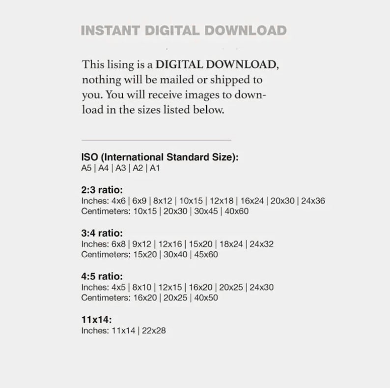 Pu&ograve; includere: Testo che spiega che questo elenco &egrave; per un download digitale di immagini in varie dimensioni. Le dimensioni sono elencate in pollici e centimetri, utilizzando le dimensioni standard ISO: A5, A4, A3, A2 e A1. I rapporti sono 2:3, 3:4, 4:5 e 11x14.