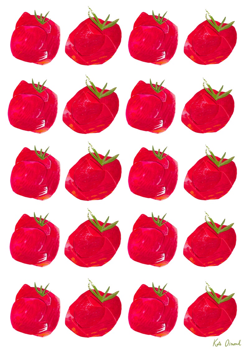 Tomato Party A4 Giclée Print image 3