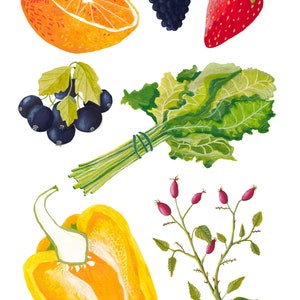 Eat Your Vitamin C, A4 Giclée Print image 3