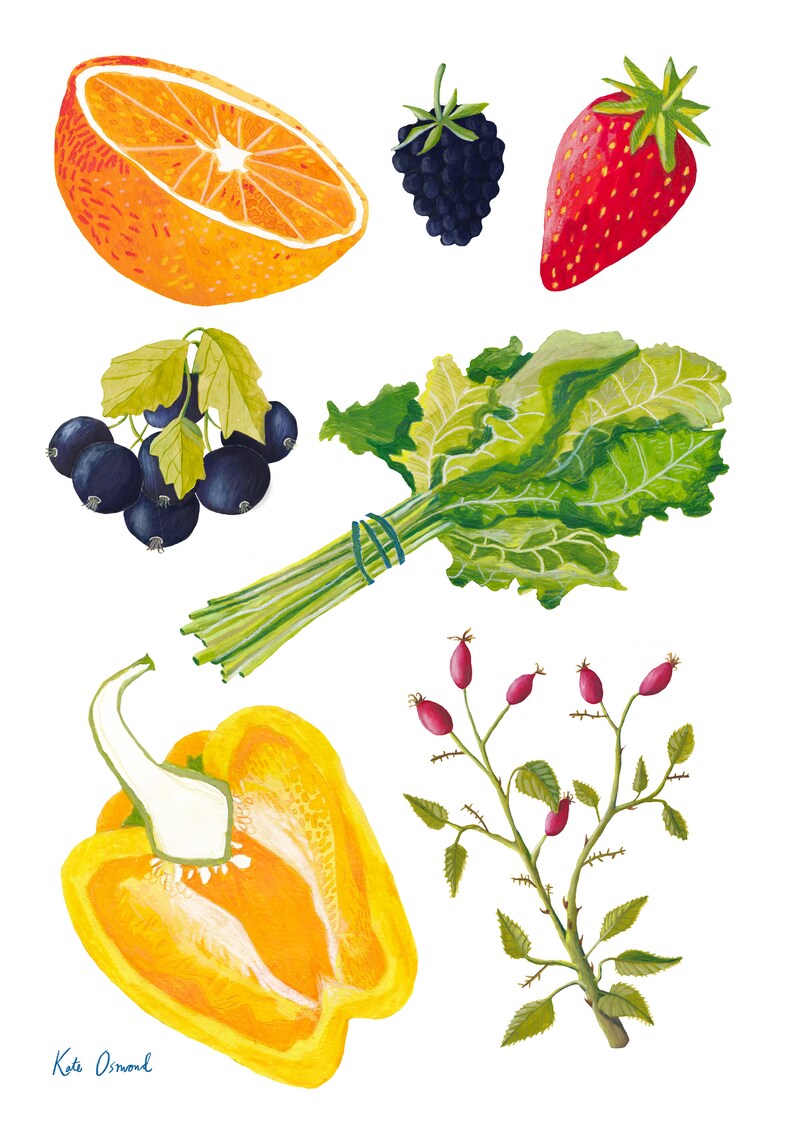 Eat Your Vitamin C, A4 Giclée Print image 3