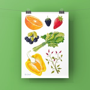 Eat Your Vitamin C, A4 Giclée Print image 1