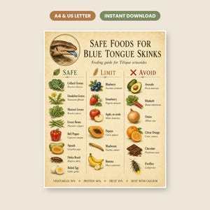 May include: A vintage-style educational poster titled Safe Foods for Blue Tongue Skinks, featuring a blue-tongued lizard illustration and three columns categorised as Safe, Limit, and Avoid, listing various fruits, vegetables, and insects.