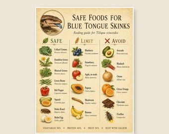 Blaue Zunge Skink sicher Lebensmittel Tabelle zum ausdrucken, Reptile Feeding Guide, sichere & Toxische Lebensmittel Liste, Vintage Eidechse Wandkunst, Sofort Download PDF