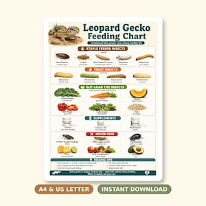Pode incluir: Um cartaz de tabela de alimentação para geco-leopardo com um geco manchado no topo. A tabela inclui seções para insetos básicos, petiscos, vegetais, suplementos e alimentos proibidos, com ilustrações e etiquetas de texto correspondentes.