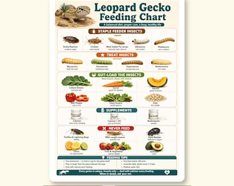 Leopardgecko Fütterungskarte, Gecko Diet and Insekt Guide, Heftklammer und Leckerli Futterinsekten, Reptilien Pflegeblatt, A4 US Letter