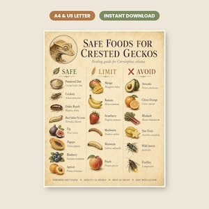 May include: A vintage-style informational poster titled Safe Foods for Crested Geckos, featuring a detailed illustration of a gecko and categorized lists of food items labeled Safe, Limit, and Avoid, with scientific names and small drawings.