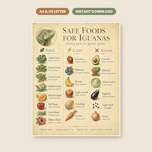 Iguana Safe Foods Chart Printable, Reptile Feeding Guide, Safe and Toxic Foods List for Iguanas, Lizard Wall Art, Instant Download PDF