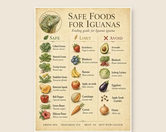 Iguana Safe Foods Chart zum ausdrucken, Reptilienfütterung, sichere und toxische Lebensmittelliste für Leguan, Sofort-Download PDF