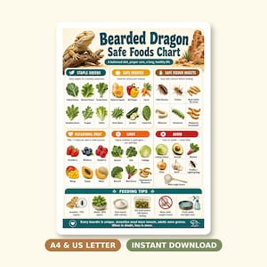 Op de afbeelding: Een rechthoekige Bearded Dragon Safe Foods Chart poster met een centrale afbeelding van een baardagame. De kaart categoriseert voedingsmiddelen in secties met de labels Staple Greens, Safe Veggies, Safe Feeder Insects, Occasional Fruit, Limit en Avoid.