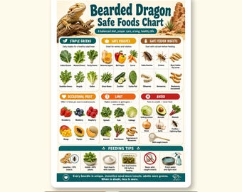 Bartagame sicher Lebensmittel Tabelle
