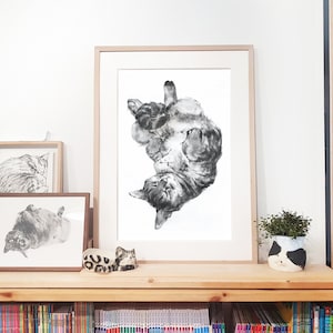 Lying tabby cat art work drawing