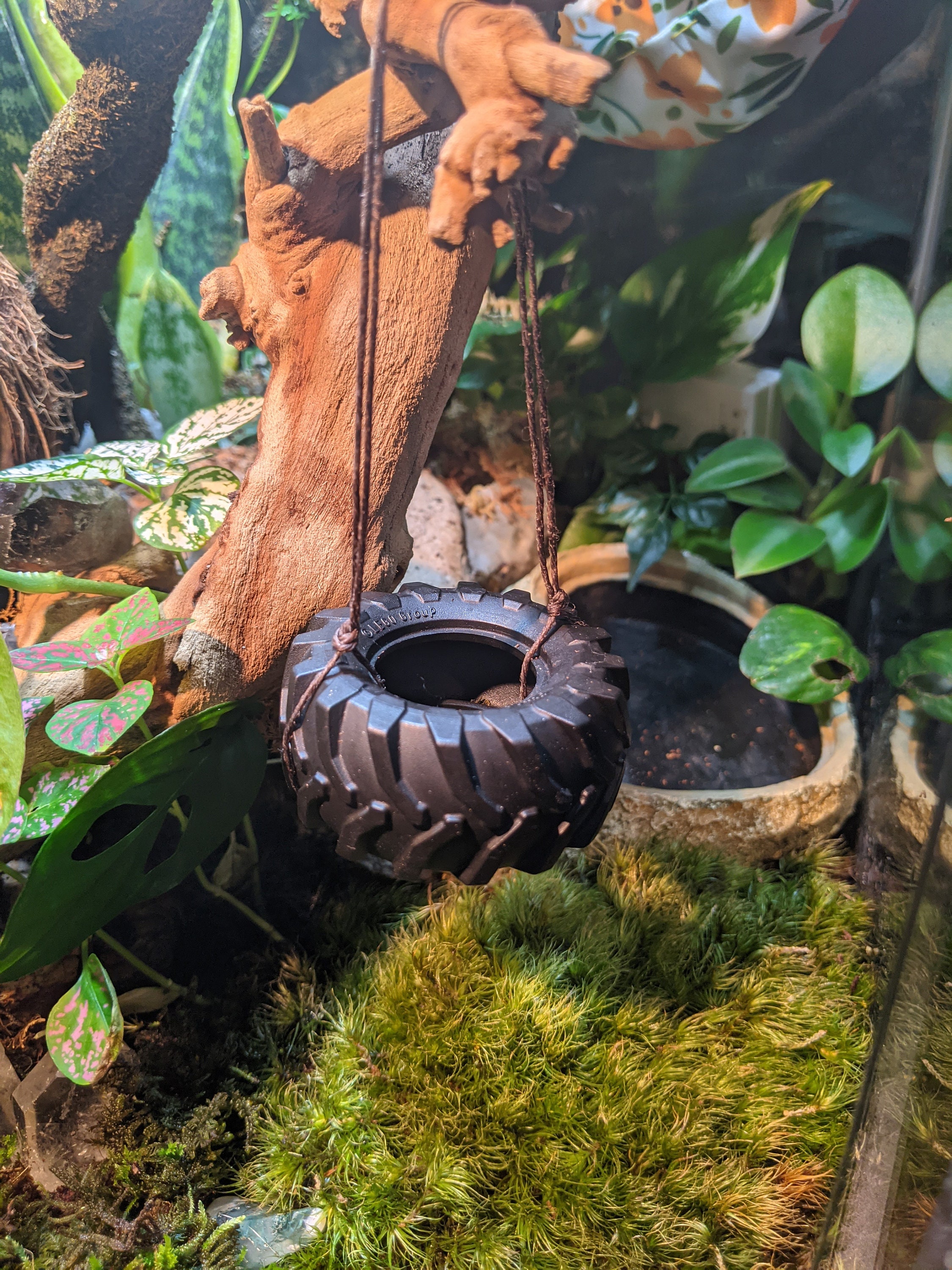 Reptile Lighting Supplies for sale Only 4 left at 70