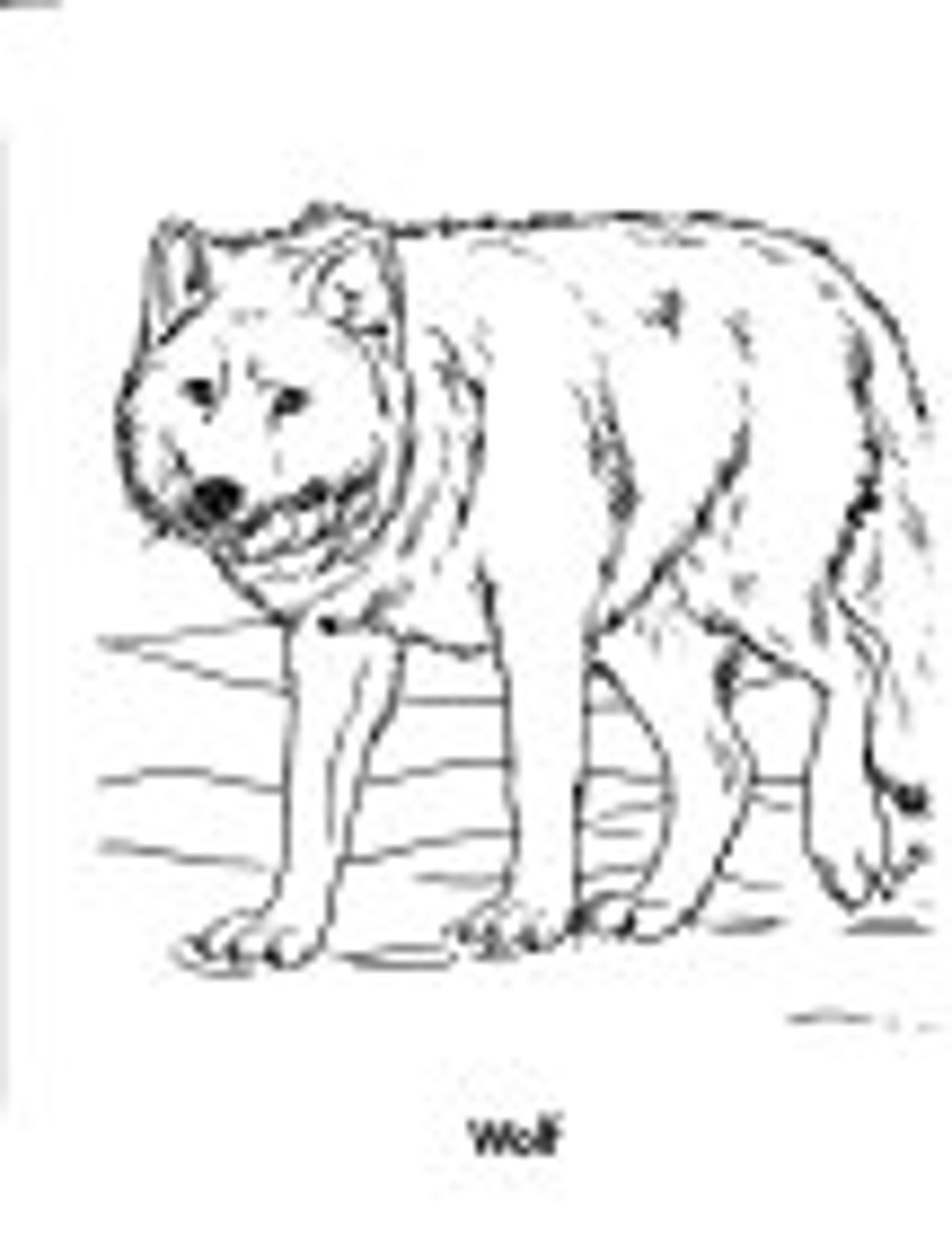 Kids Coloring Pages | Etsy