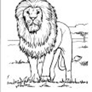 Kids Coloring Pages