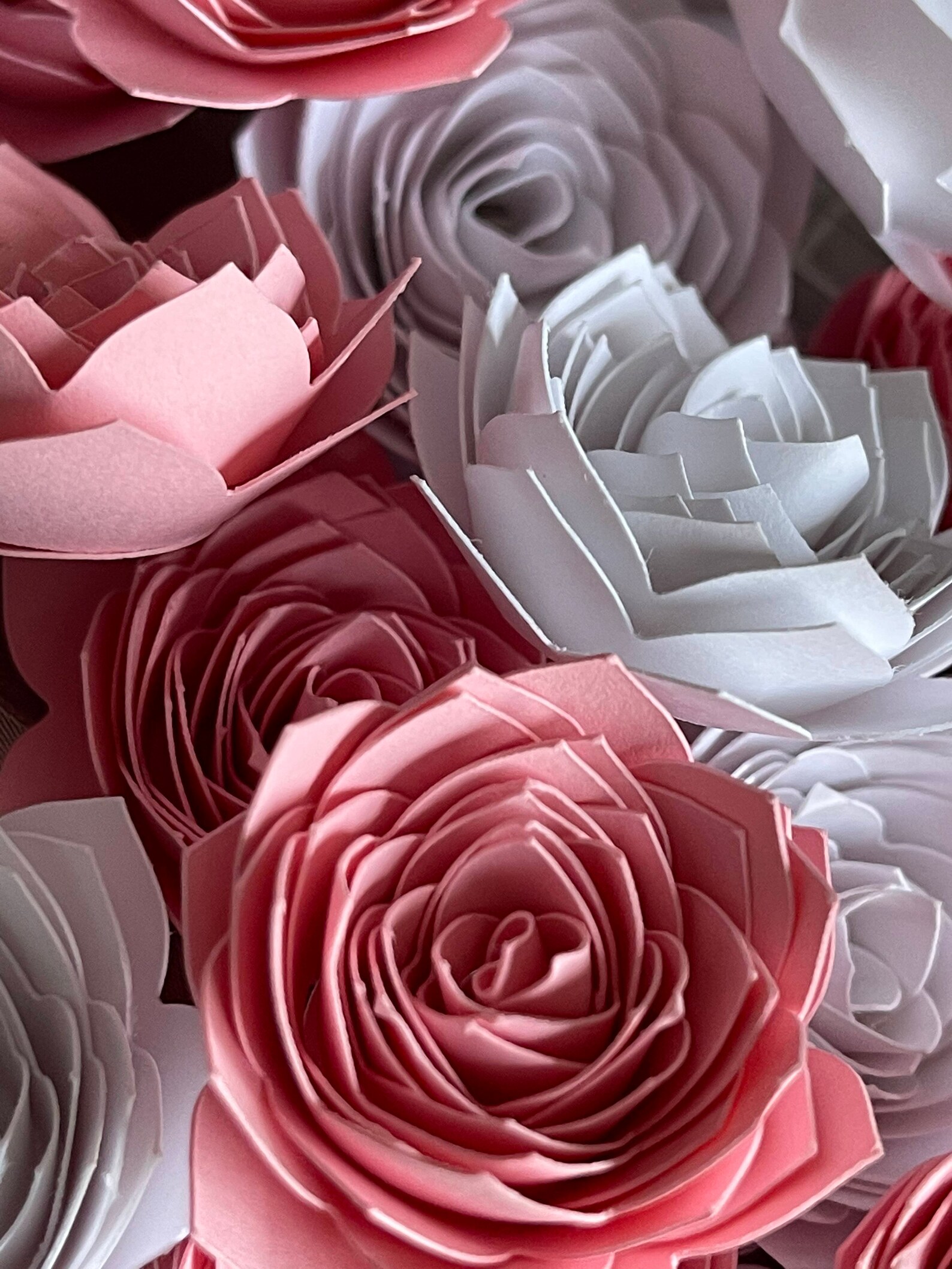 Download 3D Rolled Flowers for Cricut SVG PNG Instant Download | Etsy