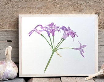 Watercolor 9"x12" Original Art PAINTING  - NOT A PRINT - Society Garlic Purple Flower Painting for Home Decor, One-of-a-kind Watercolor Art