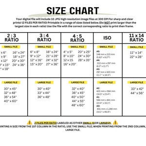 May include: A chart showing different print sizes for images in various aspect ratios, including 2:3, 3:4, 4:5, and 11x14. The chart also includes ISO paper sizes, such as A3, A2, A1, and A0.