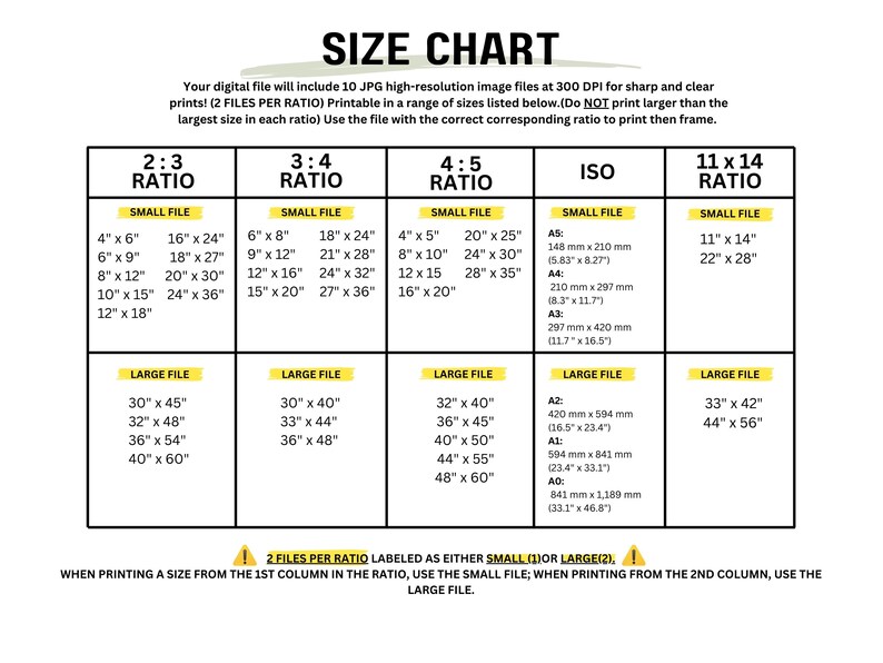 May include: A chart showing different print sizes for images in various aspect ratios, including 2:3, 3:4, 4:5, and 11x14. The chart also includes ISO paper sizes, such as A3, A2, A1, and A0.