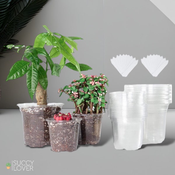 Clear Nursery Pots Etsy