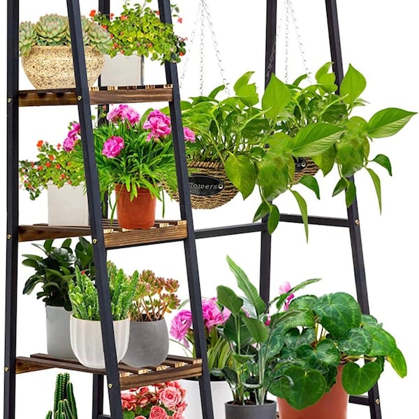 Hanging Plant Stand Etsy