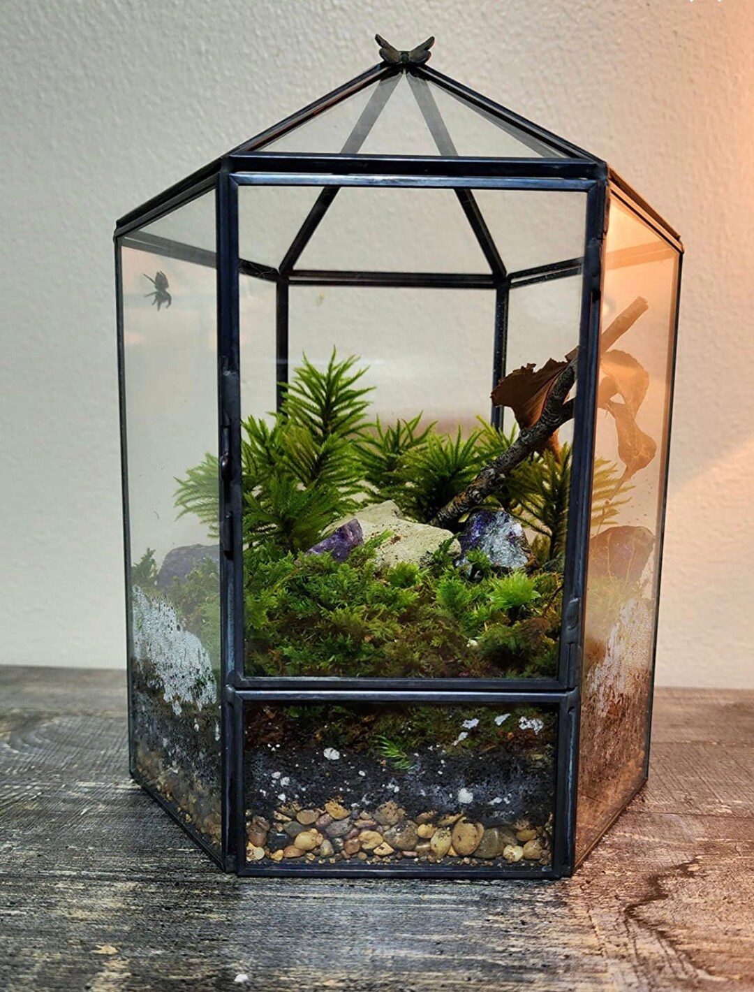 Glass Hexagonal Plant Terrarium for Succulent & Air Planter Etsy