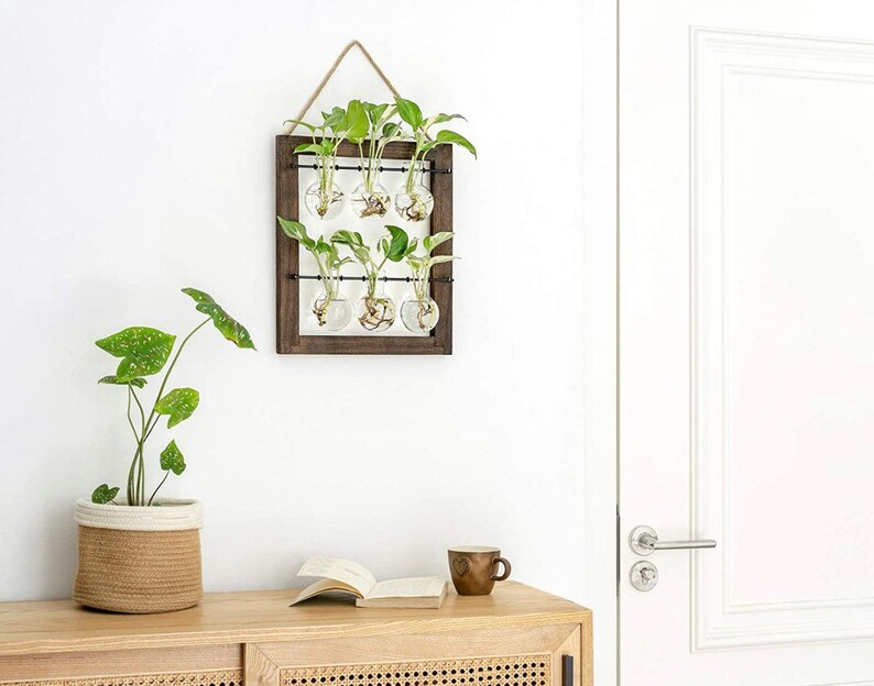 6 Bulbs Wall Hanging Glass Planter Propagate Station Etsy