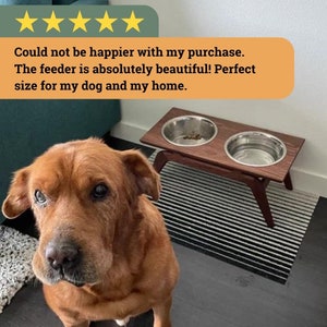 Walnut Mid Century Modern Elevated Dog Bowl Stand with Food Safe finish and Stainless Steel Bowls Included