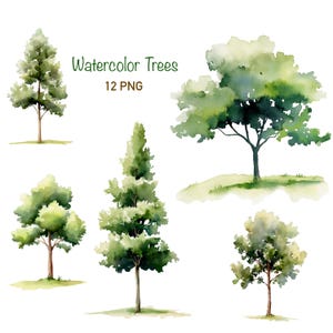 Watercolor Trees Clipart: Forest Greenery PNG (12 Files)