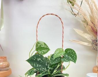 Twisted Copper Arch Trellis | Handcrafted Copper Trellis I Trellis for Houseplants and Hoyas