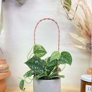 Twisted Copper Arch Trellis | Handcrafted Copper Trellis I Trellis for Houseplants and Hoyas