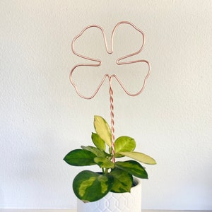 4 Leaf Clover | 4 Leaf Clover Trellis | Copper Trellis | St Patrick&#39;s Day Plant Gift | Plant Trellis | Plant Support | Clover | Lucky