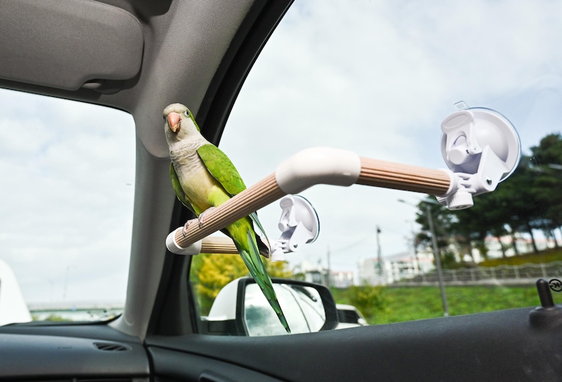 Vehicles Parrots Adjustable Beech Wood Parrot Perch for Car Window | Dual Suction Cup ...