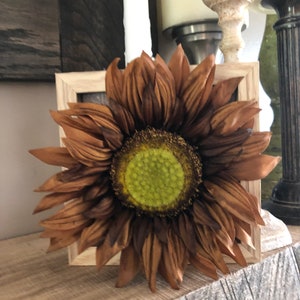 Cute Framed Sunflower