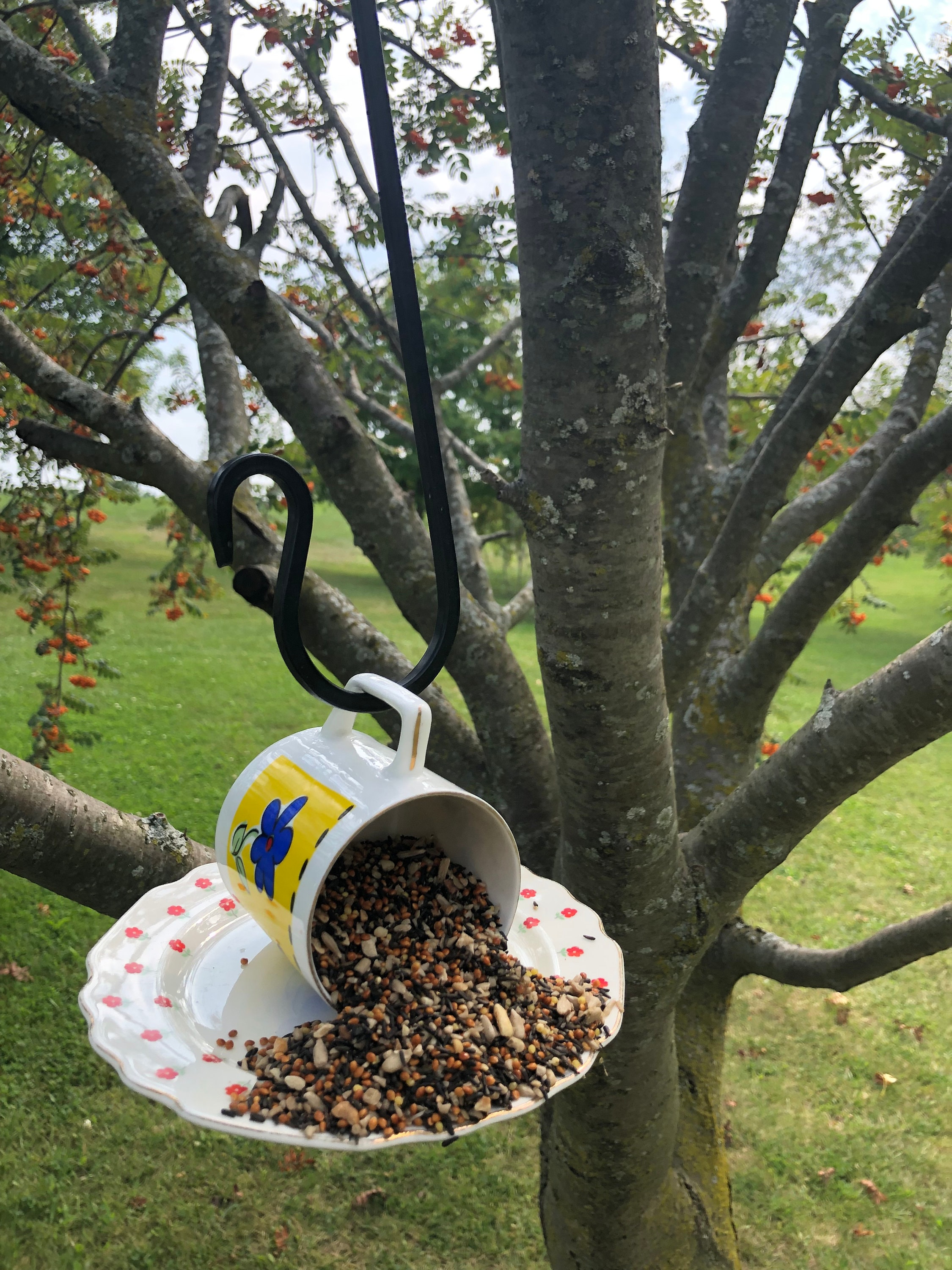 Adorable Vintage Floral Bird Feeder Etsy UK